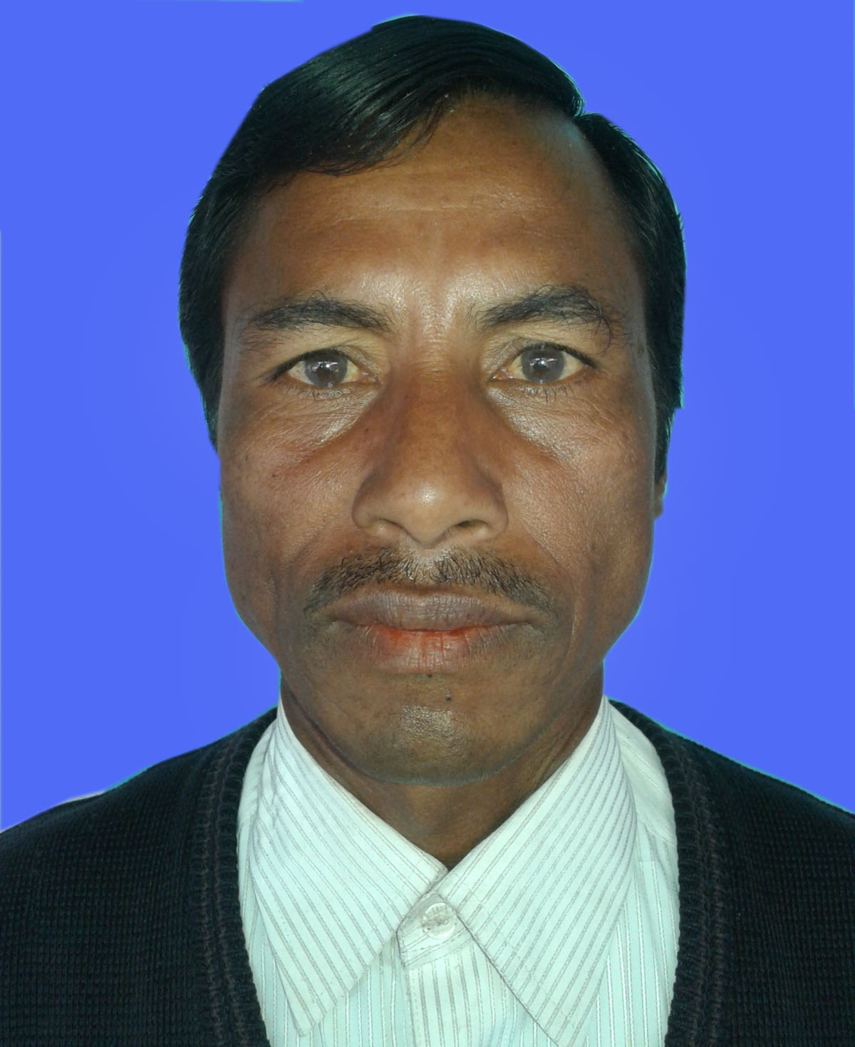 Photos of